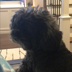 Meet your Posher, Chris